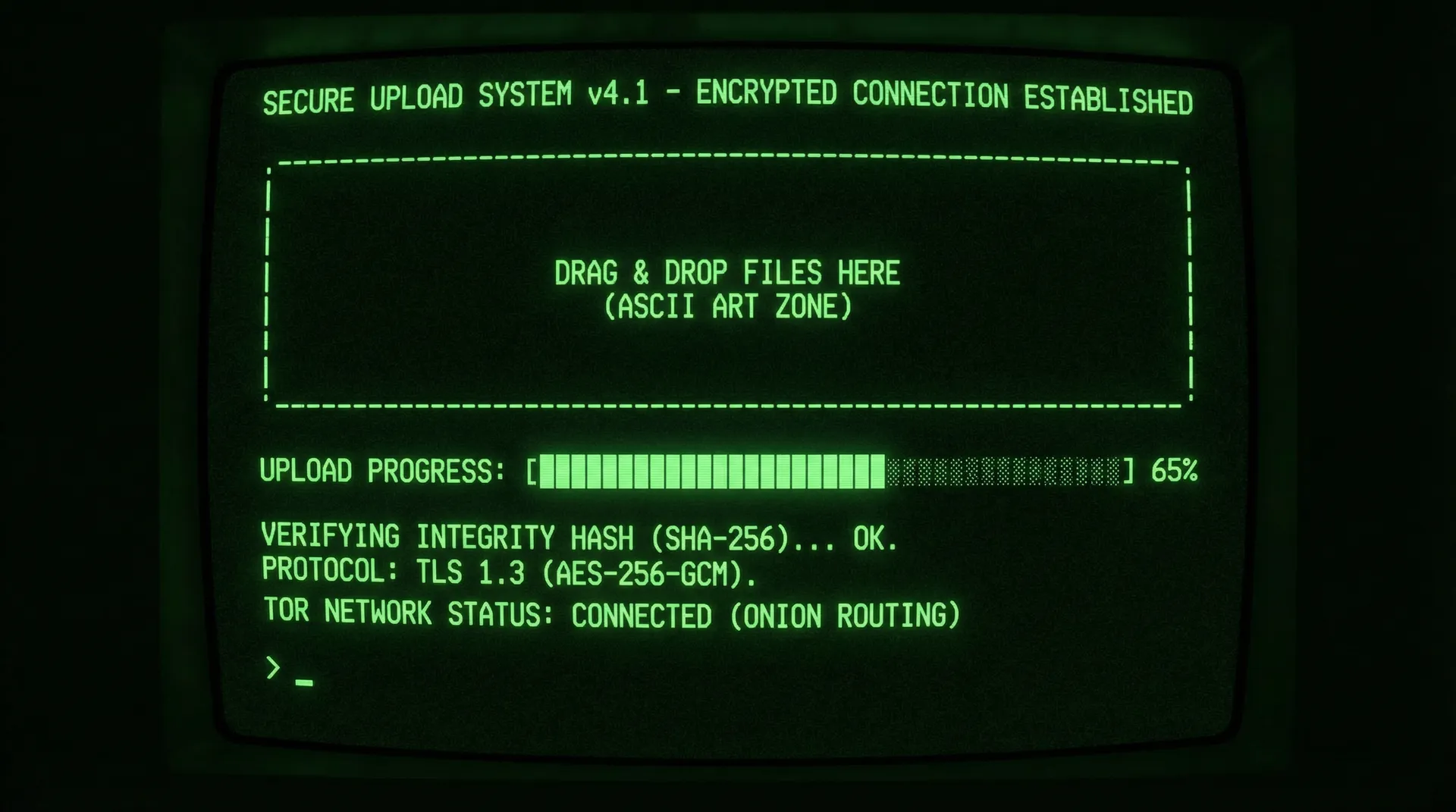 91视频 安全加密上传系统界面截图